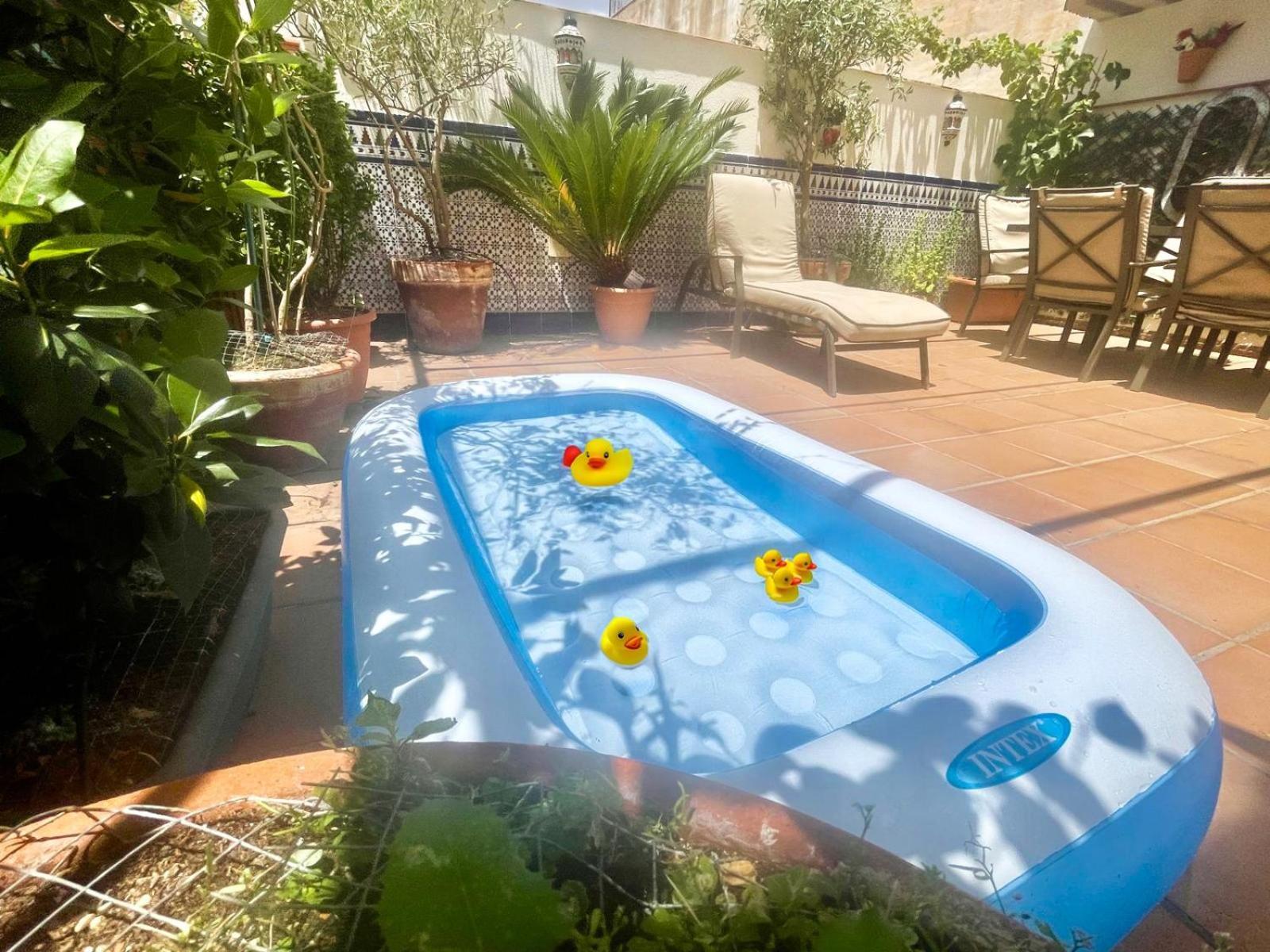 Maravilloso Apartamento Centrico De 70M2, Jardin Propio 40M2 Con Piscina Para Ninos Y Parking Opcional Malaga Exterior photo