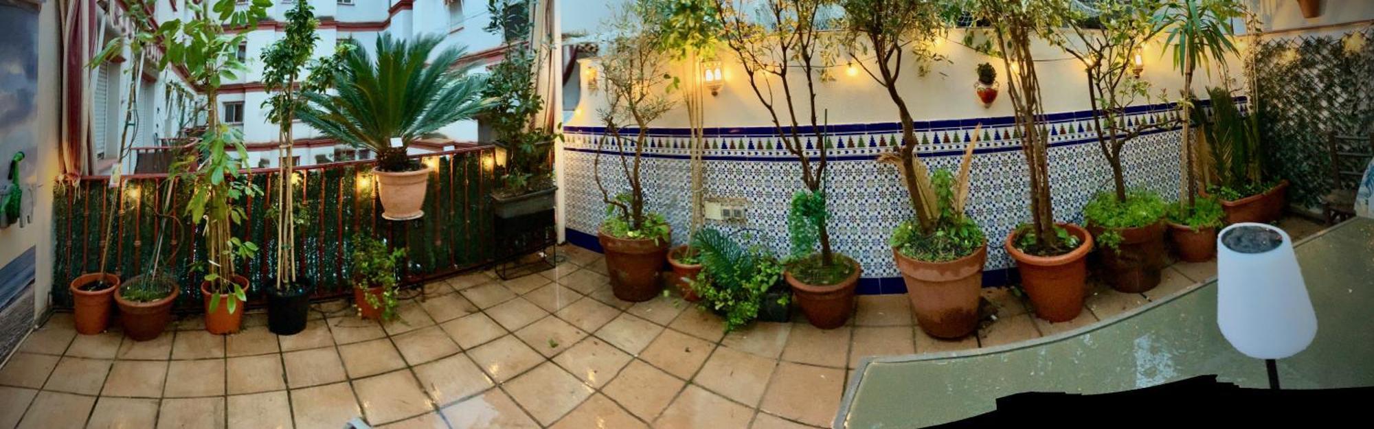 Maravilloso Apartamento Centrico De 70M2, Jardin Propio 40M2 Con Piscina Para Ninos Y Parking Opcional Malaga Exterior photo